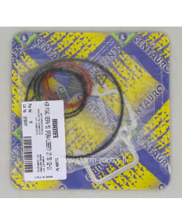 CENTAURO GILERA/PIAGGIO TIIVISTESARJA Main Image