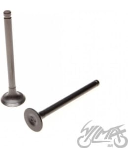 ZC0067 VENTTIILIPARI  4T 50 CC Main Image