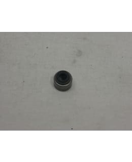 LINHAI 2365 VENTTIILI VARREN KUMI 300 Main Image