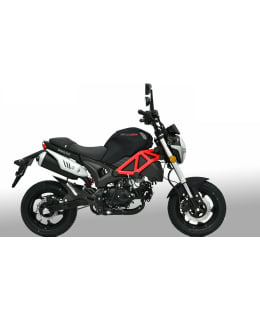 DYNAMIC MONSTER 50CC MUSTA 2022 Main Image