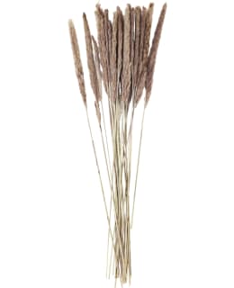 Madam Stoltz 75-85cm kuivatut heinät Main Image