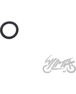 WM KAM0259 AM6  13.3X2.65 O-RENGAS Main Image