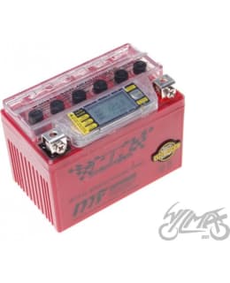 WM YTX4l-BS (IGEL) 12V AKKU Main Image