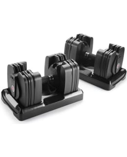 BOWFLEX 560 2-27KG SÄÄDET. KÄSIPAINOT Main Image