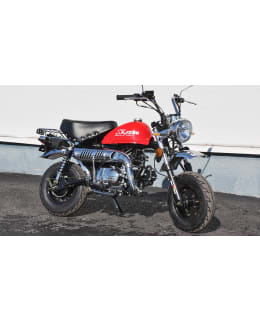 SKYTEAM PUNAINEN EFI 2022 MANKI Main Image