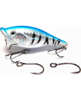 RUTHLESS PLOPPER POPPER 05 PINTAVIEHE Main Image