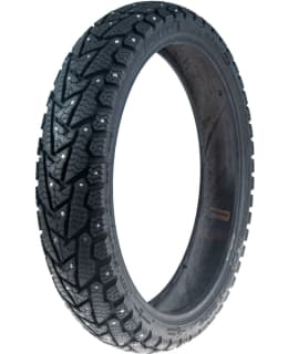 DELI 100/80-17 52R M+S  WINTERBERG SB158 Main Image