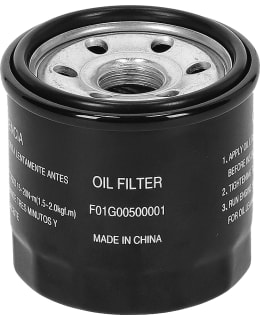 SEGWAY F01G00500001 ÖLJYNSUODATIN Main Image