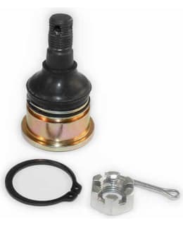 EPI PALLONIVEL13 Main Image