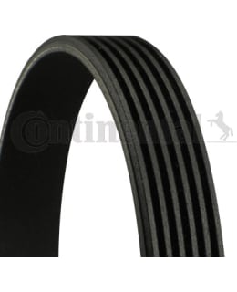 CONTINENTAL 6PK1256CT MONIURAHIHNA Main Image