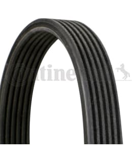 CONTINENTAL 6DPK1195CT MONIURAHIHNA Main Image