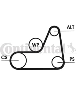 CONTINENTAL 6PK1042ELASCT MONIURAHIHNA E Main Image