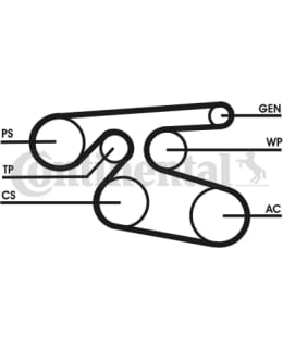 CONTINENTAL 7PK2000CT MONIURAHIHNA Main Image