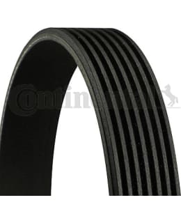 CONTINENTAL 7PK2418CT MONIURAHIHNA Main Image