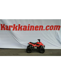 GXT 110 2020 käytetty lasten mönkijä Main Image