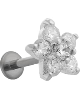 SILVER WAVE ER043 KUKKA RUSTO/TRAGUSKORU Main Image