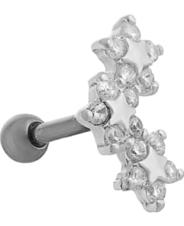 SILVER WAVE ER235 3TÄHTIKUKKA RUSTOKORU Main Image