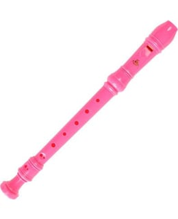 Yamakawa recorder Main Image
