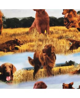 DIGIPRINT SETTER 150 CM TRIKOO Main Image