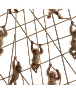 DIGIPRINT SCHIPANSLEK 150 VA TRIKOO Main Image