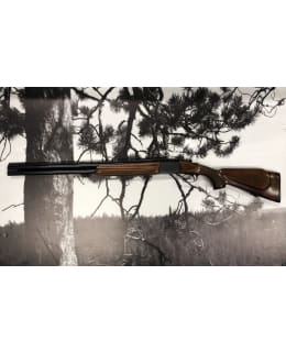 Tikka M77 12/70 käytetty haulikko Main Image