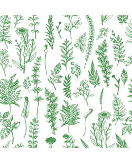 DIGIPRINT FLORA 150 CM VA/VI TRIKOO Main Image