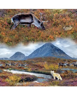 DIGIPRINT FJÄLLET 150 CM TRIKOO Main Image