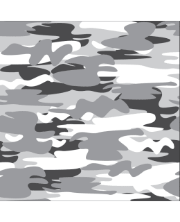 DIGIPRINT KAMOUFLAGE 150 CM HA TRIKOO Main Image