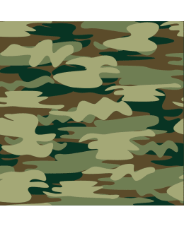 DIGIPRINT KAMOUFLAGE 150 CM VI TRIKOO Main Image