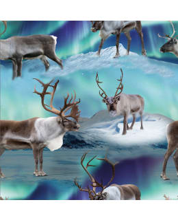 DIGIPRINT NORRSKENSREN 150 CM TRIKOO Main Image