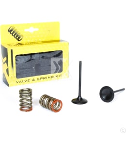 PROX STEEL INTAKE VALVE/SPRING KIT KX250 Main Image
