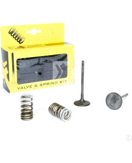 PROX STEEL INTAKE VALVE/SPRING KIT RM-Z2 Main Image