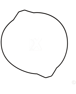 PROX CLUTCH COVER GASKET YZ250 '99-20 Main Image