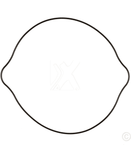 PROX CLUTCH COVER GASKET RM125 '92-11 Main Image