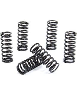 PROX CLUTCH SPRING KIT CR250 '97-07 + CR Main Image