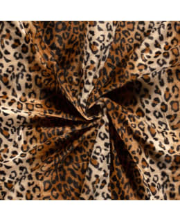 CHEETAH 04503 147 CM 054/KAM VELBOA Main Image