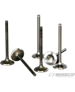 WISECO INTAKE VALVE TITANIUM KX450F '16- Main Image