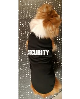 OLD LABELS SECURITY XL KOIRAN T-PAITA Main Image