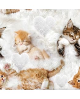 DIGIPRINT SLEEPY KITTENS 150 CM TRIKOO Main Image