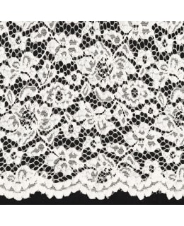 LACE 01613 146 CM 015/OFFWHITE FABRIC Main Image