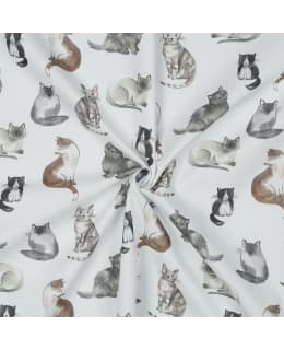 CATS 04083 148 CM 002/WHI POPLIN Main Image