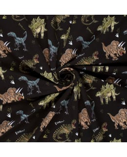 DINO 22404 150 CM 069 FRENCH TERRY Main Image