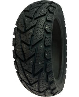 DELI 355-028408-1 NASTARENGAS WINTERBERG Main Image