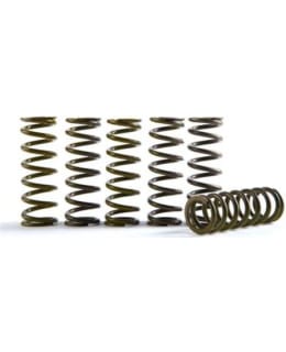 HINSON 450-CS416-5-1901 CLUTCH SPRINGS Y Main Image