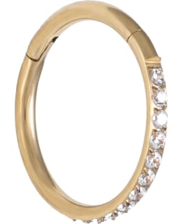 SILVER WAVE ER804 TIT PVD RI-10 SARANARE Main Image