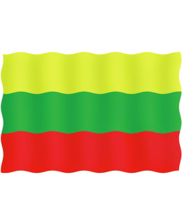 VIERAILULIPPU 20X30CM, LIETTUA 951903313 Main Image