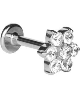 SILVER WAVE ER905 TIT PUSH KUK LÄVISTYSK Main Image