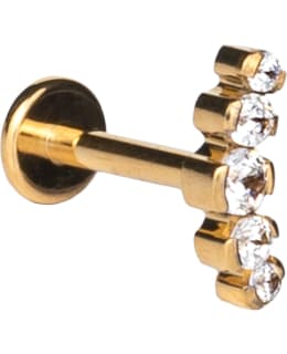 SILVER WAVE ER954 TIT PUSH KAARLÄVISTYSK Main Image