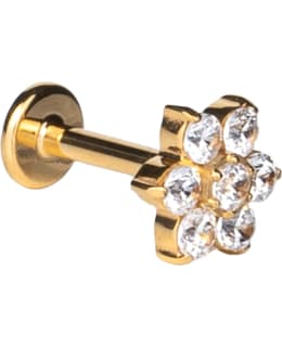 SILVER WAVE ER955 TIT PUSH KUK LÄVISTYSK Main Image