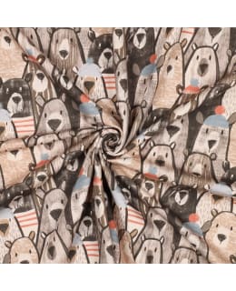 BEARS 04113 148 CM 001/BE JOUSTOCOLLEGE Main Image